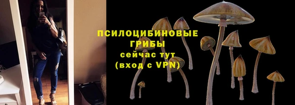 мескалин Аркадак