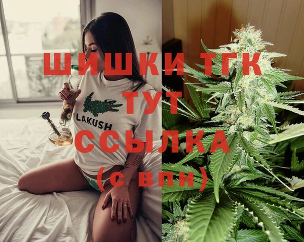 амф Алексин