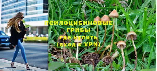 мескалин Аркадак