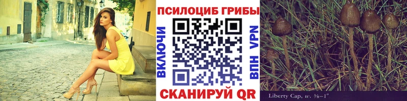 Купить  Ульяновск  Псилоцибиновые грибы мицелий 